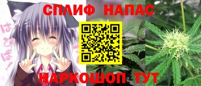 сатива Бузулук