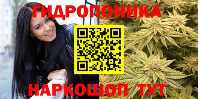 mdpv Будённовск