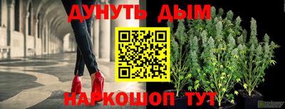 сатива Бузулук