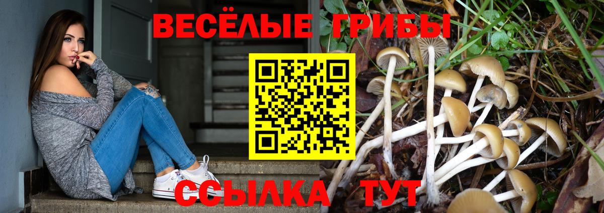 Набережные Челны  Псилоцибиновые грибы MAGIC MUSHROOMS  Вход с VPN 